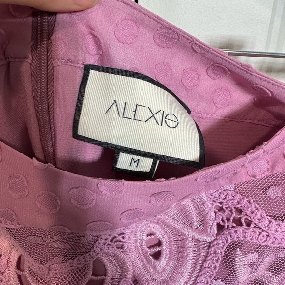 Alexis
Inka Mixed Lace Pink Shorts - Picture 9 of 12